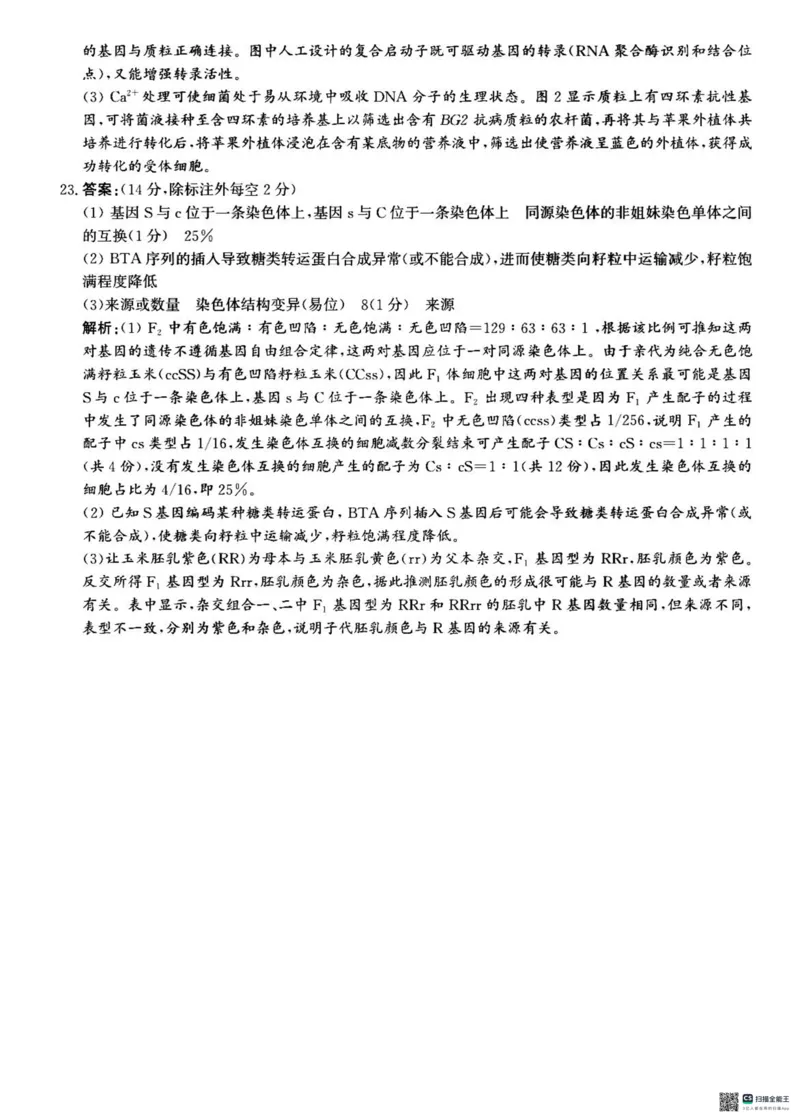 河北省2024-2025学年高三省级联测考试生物试题+答案_2024-2025高三（6-6月题库）_2024年10月试卷_1003河北省2024-2025学年高三省级联测考试