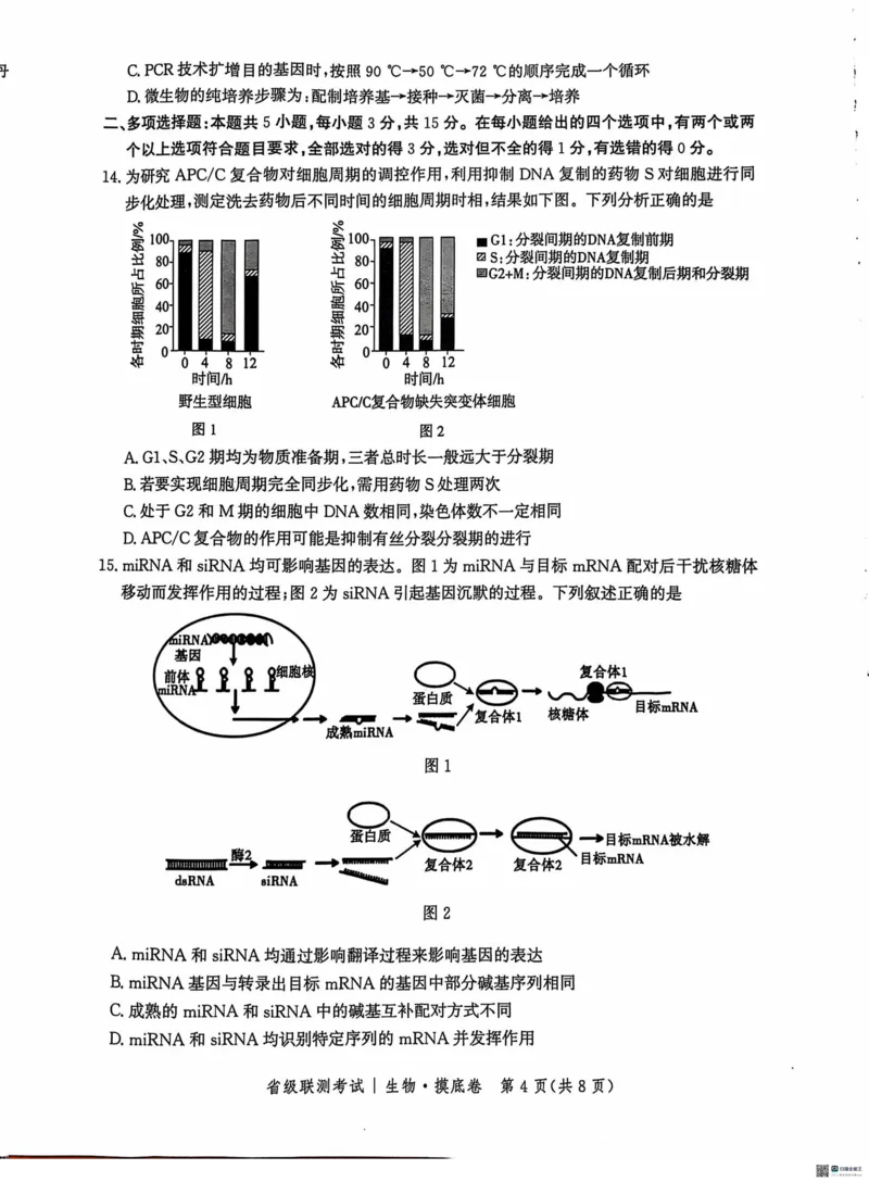河北省2024-2025学年高三省级联测考试生物试题+答案_2024-2025高三（6-6月题库）_2024年10月试卷_1003河北省2024-2025学年高三省级联测考试
