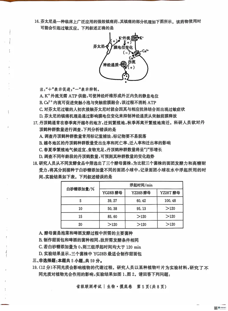 河北省2024-2025学年高三省级联测考试生物试题+答案_2024-2025高三（6-6月题库）_2024年10月试卷_1003河北省2024-2025学年高三省级联测考试