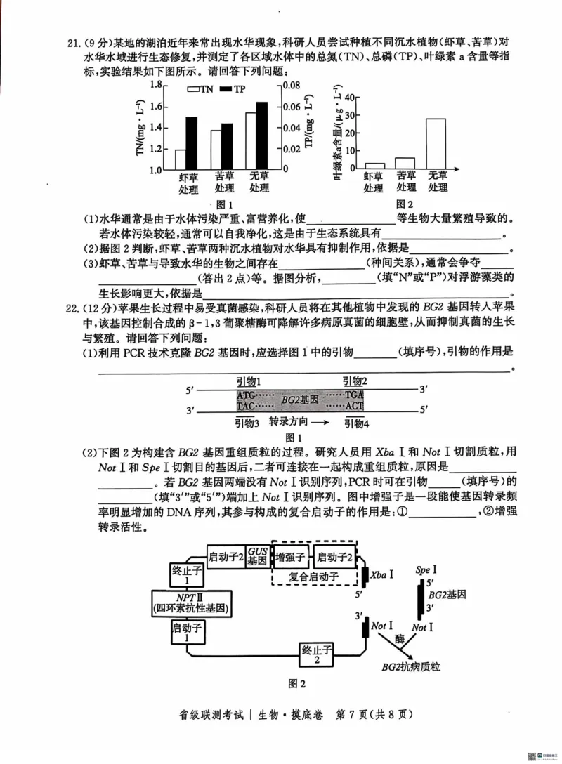 河北省2024-2025学年高三省级联测考试生物试题+答案_2024-2025高三（6-6月题库）_2024年10月试卷_1003河北省2024-2025学年高三省级联测考试