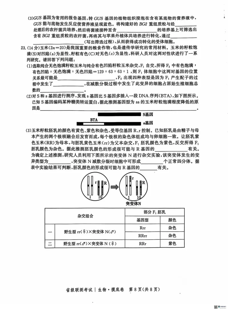 河北省2024-2025学年高三省级联测考试生物试题+答案_2024-2025高三（6-6月题库）_2024年10月试卷_1003河北省2024-2025学年高三省级联测考试