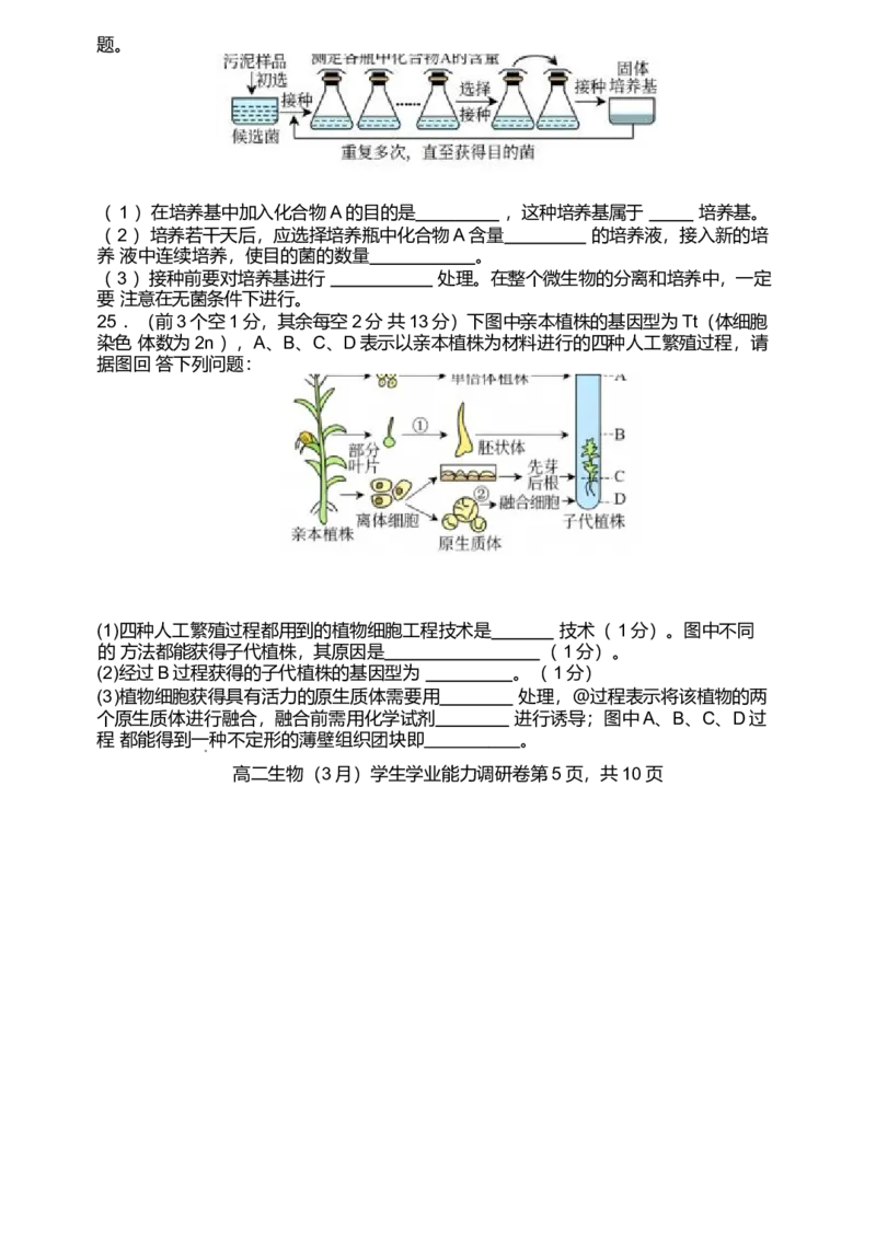 天津市静海区第一中学2024-2025学年高二下学期3月学生学业能力调研试题生物Word版含答案_2024-2025高二（7-7月题库）_2025年04月试卷(1)