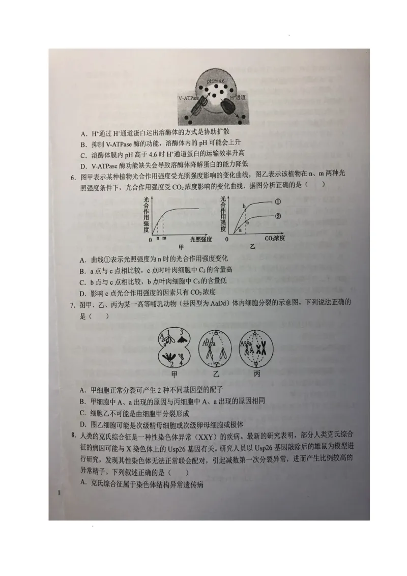 安徽省六安市第一中学2024届高三上学期第三次月考生物(1)_2023年11月_01每日更新_06号_2024届安徽省六安市第一中学高三上学期第三次月考