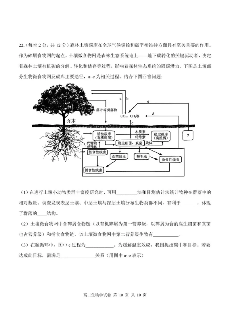 湖北省部分省级示范高中2024~2025学年下学期高二期中测试生物学试卷_2024-2025高二（7-7月题库）_2025年05月试卷_0516湖北省部分省级示范高中2024-2025学年高二下学期4月期中测试
