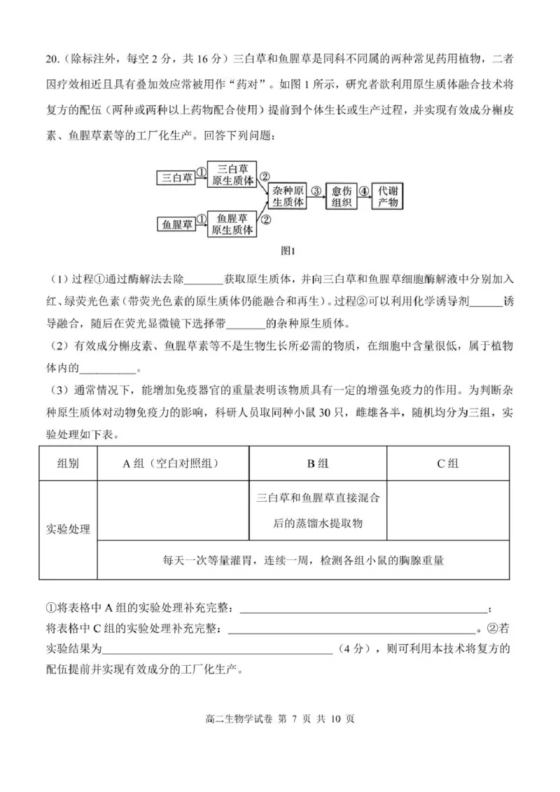湖北省部分省级示范高中2024~2025学年下学期高二期中测试生物学试卷_2024-2025高二（7-7月题库）_2025年05月试卷_0516湖北省部分省级示范高中2024-2025学年高二下学期4月期中测试