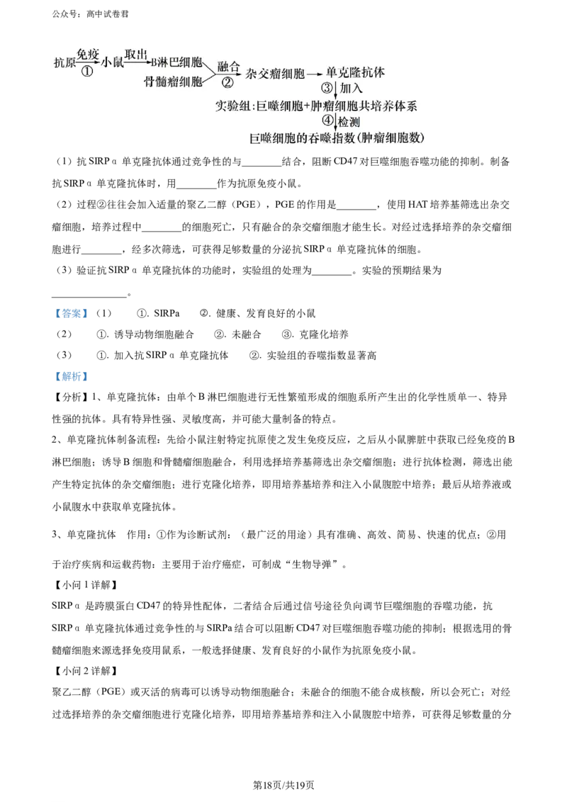 精品解析：重庆市璧山来凤中学等多校联考2023-2024学年高三下学期3月月考生物试题（解析版）_2024年3月_013月合集_2024届重庆金太阳（24-340C）好教育联盟高三3月联考
