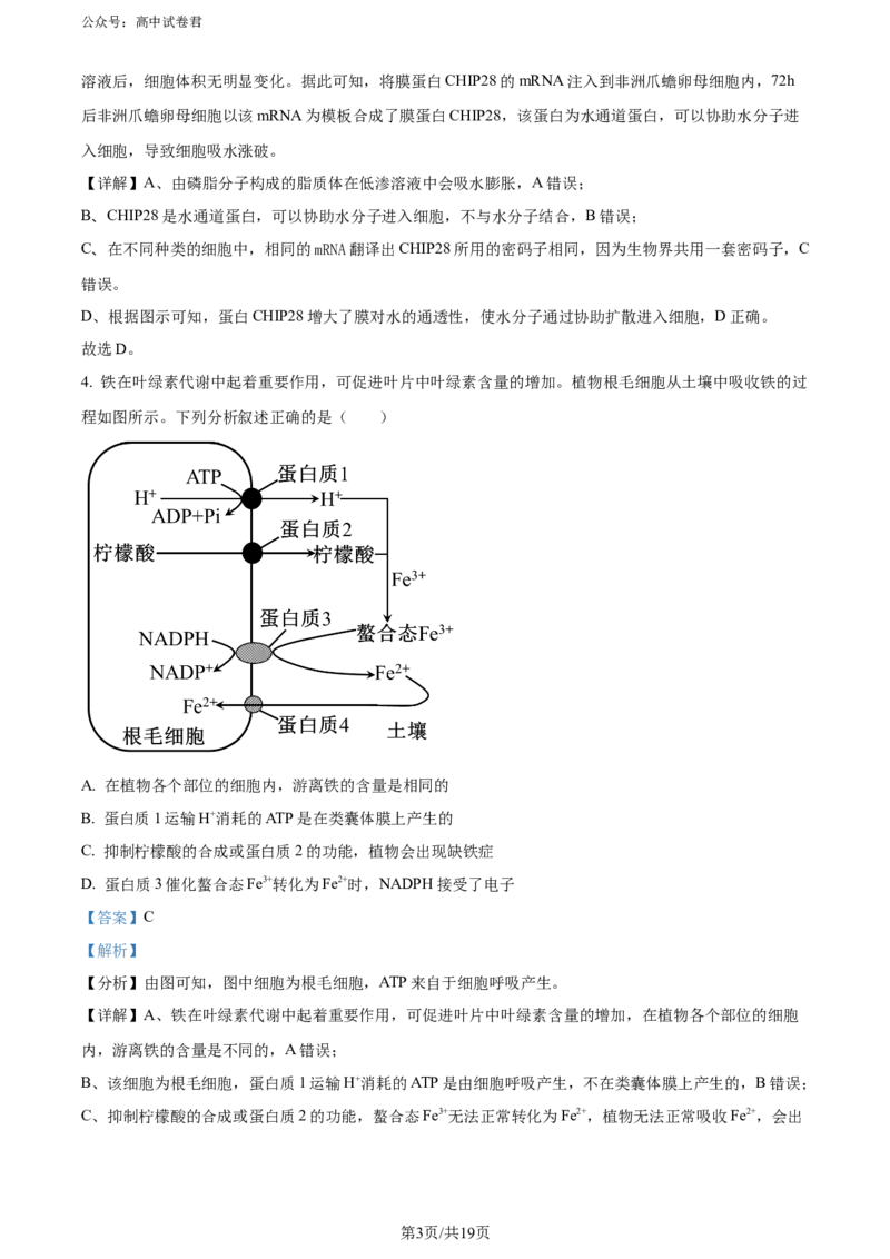 精品解析：重庆市璧山来凤中学等多校联考2023-2024学年高三下学期3月月考生物试题（解析版）_2024年3月_013月合集_2024届重庆金太阳（24-340C）好教育联盟高三3月联考