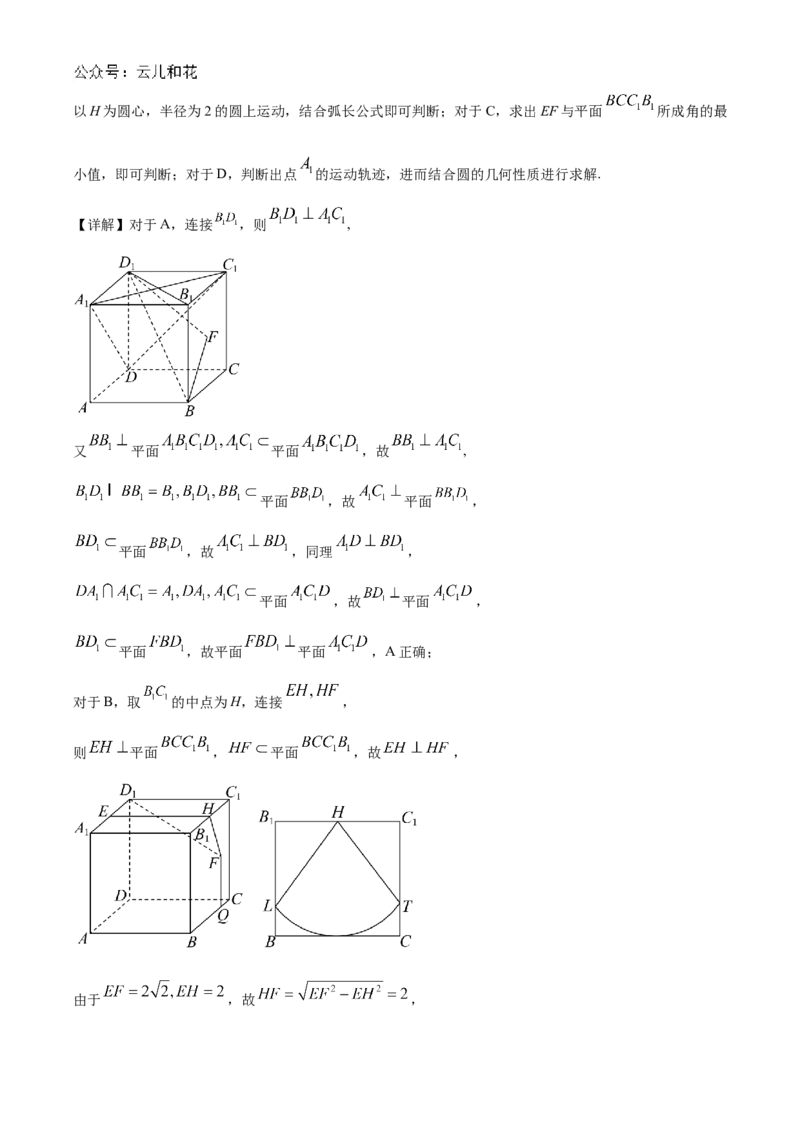 广东省阳江市高新区2024-2025学年高二上学期11月期中测试数学试题Word版含解析_2024-2025高二（7-7月题库）_2024年12月试卷_1203广东省阳江市高新区2024-2025学年高二上学期11月期中考试