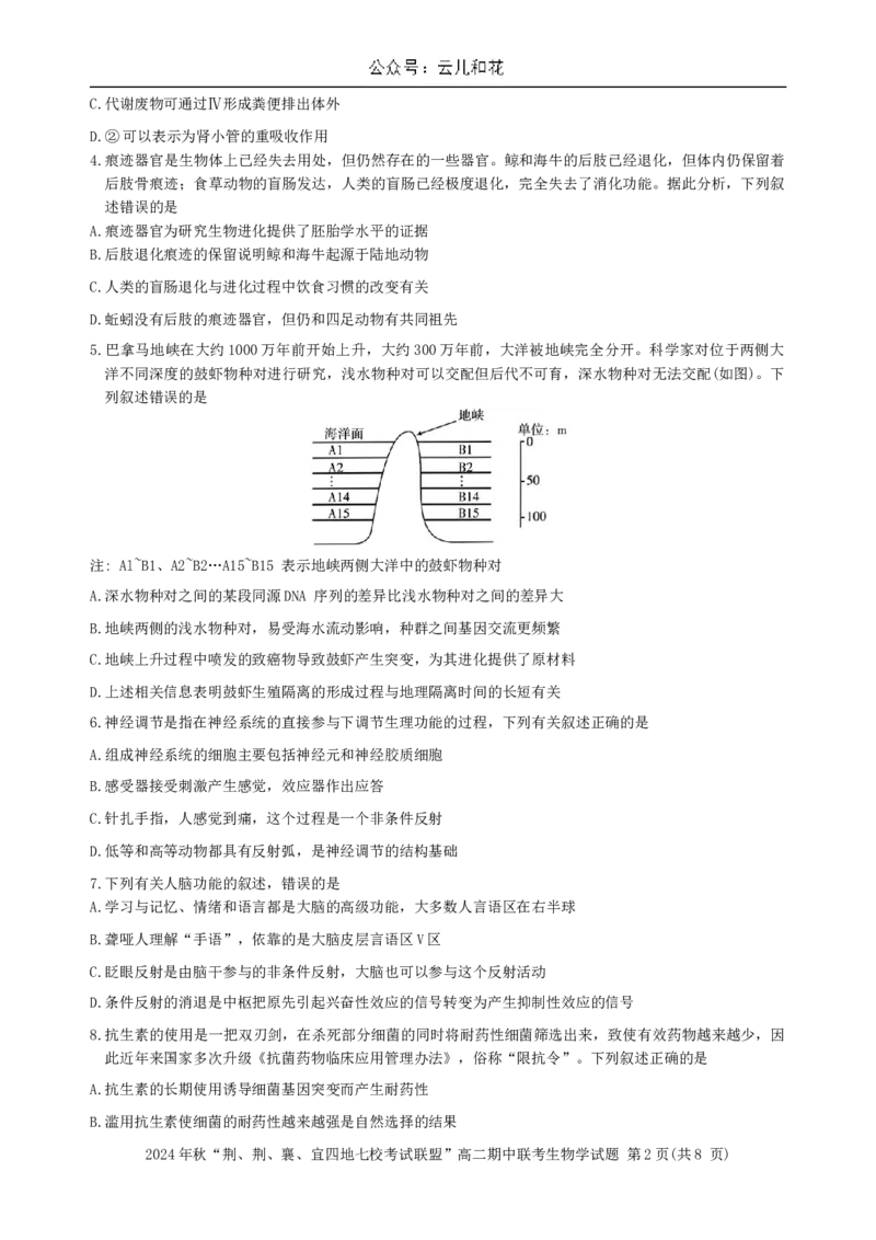 湖北省&ldquo;荆、荆、襄、宜四地七校考试联盟&rdquo;2024-2025学年高二上学期期中联考生物试卷_2024-2025高二（7-7月题库）_2024年11月试卷