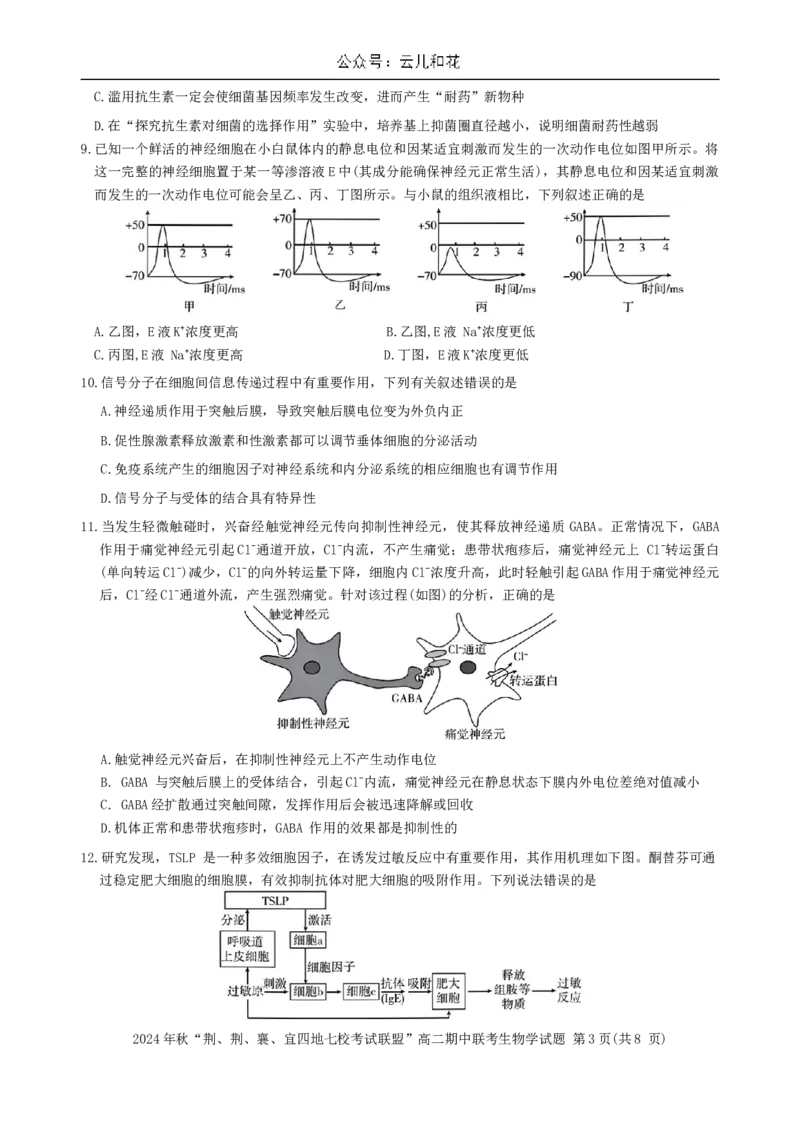 湖北省&ldquo;荆、荆、襄、宜四地七校考试联盟&rdquo;2024-2025学年高二上学期期中联考生物试卷_2024-2025高二（7-7月题库）_2024年11月试卷