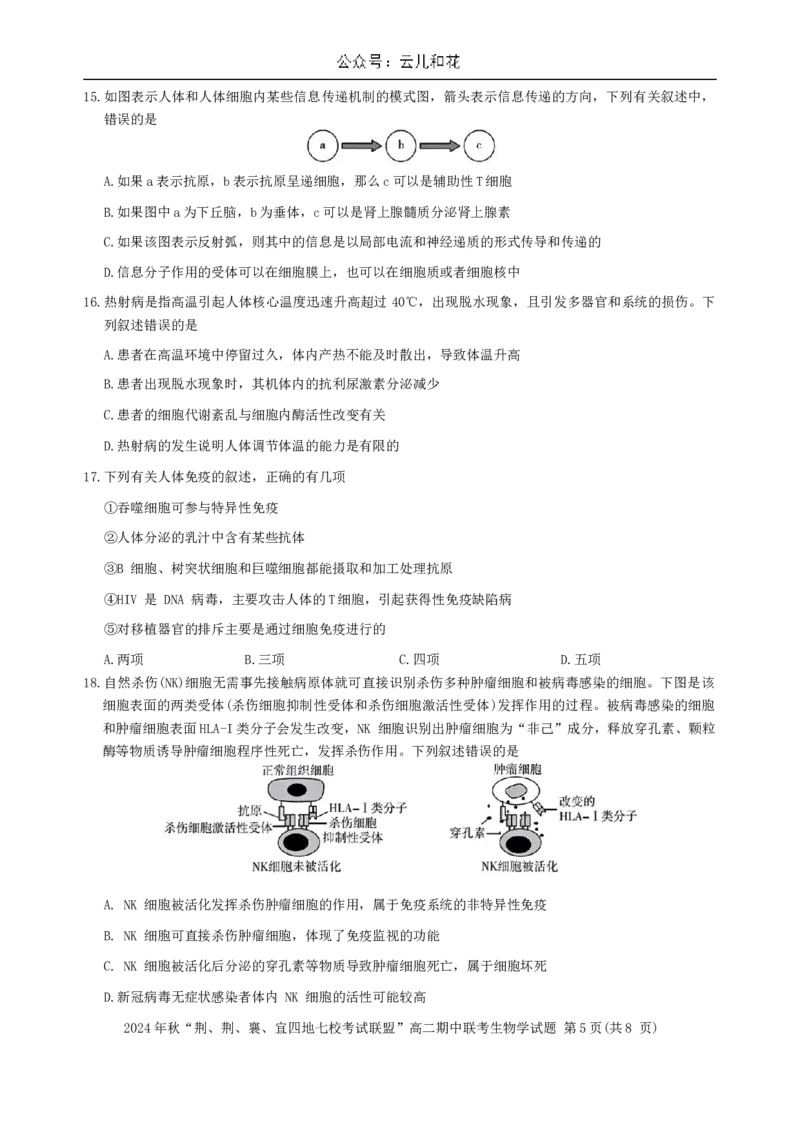 湖北省&ldquo;荆、荆、襄、宜四地七校考试联盟&rdquo;2024-2025学年高二上学期期中联考生物试卷_2024-2025高二（7-7月题库）_2024年11月试卷