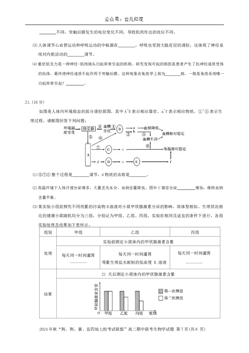 湖北省&ldquo;荆、荆、襄、宜四地七校考试联盟&rdquo;2024-2025学年高二上学期期中联考生物试卷_2024-2025高二（7-7月题库）_2024年11月试卷