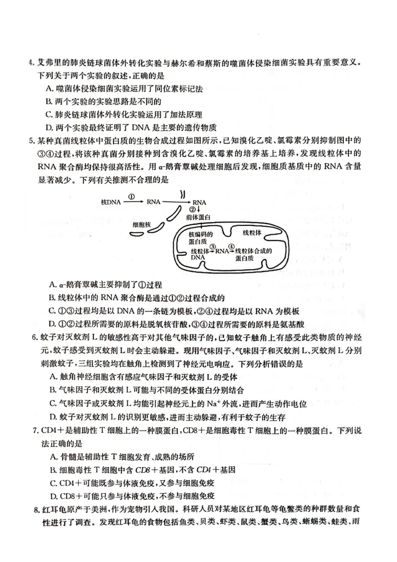 生物学试卷_2024年2月_01每日更新_28号_2024届湖南省金太阳高三下学期2月开学统一考试（&spades;）_湖南省金太阳2024届高三下学期2月开学统一考试（&spades;）生物