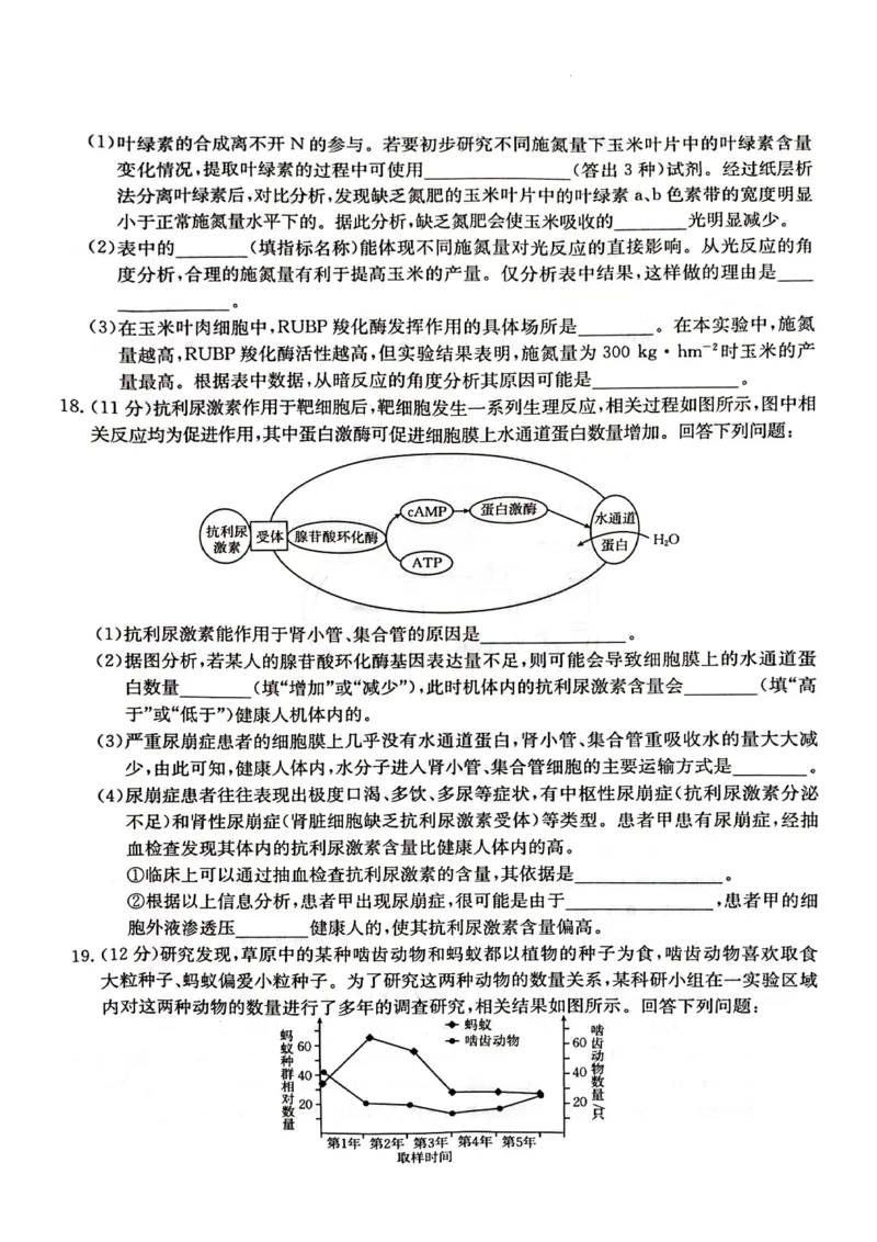 生物学试卷_2024年2月_01每日更新_28号_2024届湖南省金太阳高三下学期2月开学统一考试（&spades;）_湖南省金太阳2024届高三下学期2月开学统一考试（&spades;）生物