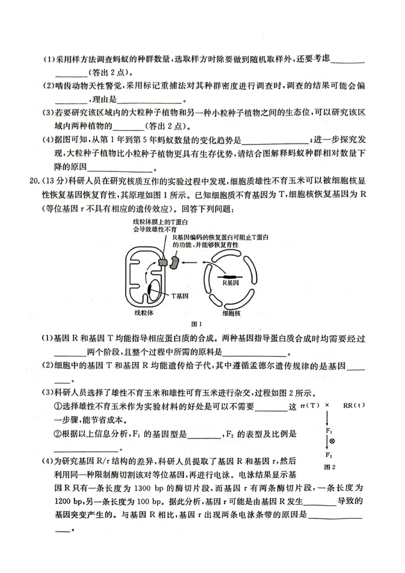 生物学试卷_2024年2月_01每日更新_28号_2024届湖南省金太阳高三下学期2月开学统一考试（&spades;）_湖南省金太阳2024届高三下学期2月开学统一考试（&spades;）生物