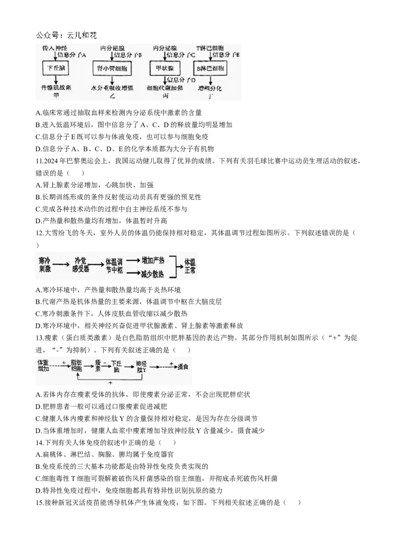 江苏省镇江市三校、泰州市部分学校2024-2025学年高二上学期11月期中生物试题（含答案）_2024-2025高二（7-7月题库）_2024年11月试卷
