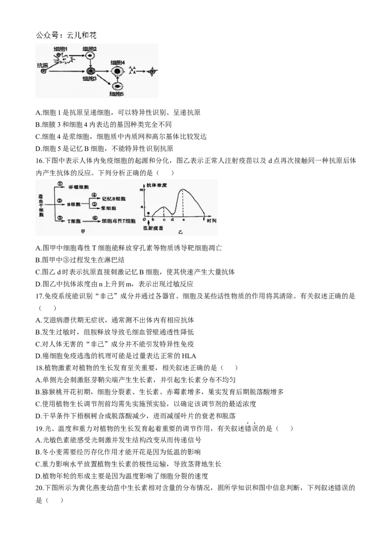 江苏省镇江市三校、泰州市部分学校2024-2025学年高二上学期11月期中生物试题（含答案）_2024-2025高二（7-7月题库）_2024年11月试卷