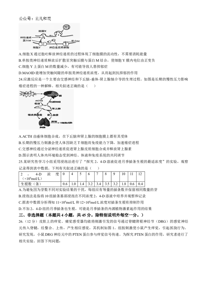 江苏省镇江市三校、泰州市部分学校2024-2025学年高二上学期11月期中生物试题（含答案）_2024-2025高二（7-7月题库）_2024年11月试卷