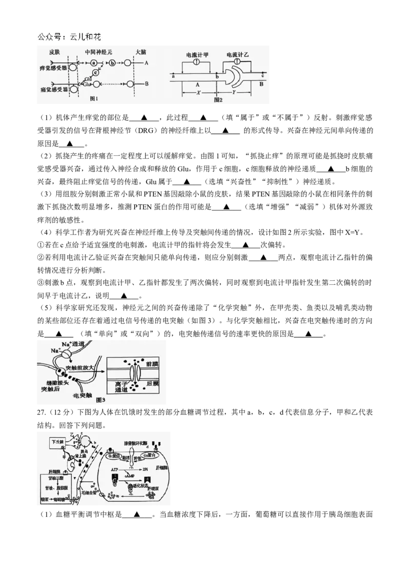 江苏省镇江市三校、泰州市部分学校2024-2025学年高二上学期11月期中生物试题（含答案）_2024-2025高二（7-7月题库）_2024年11月试卷