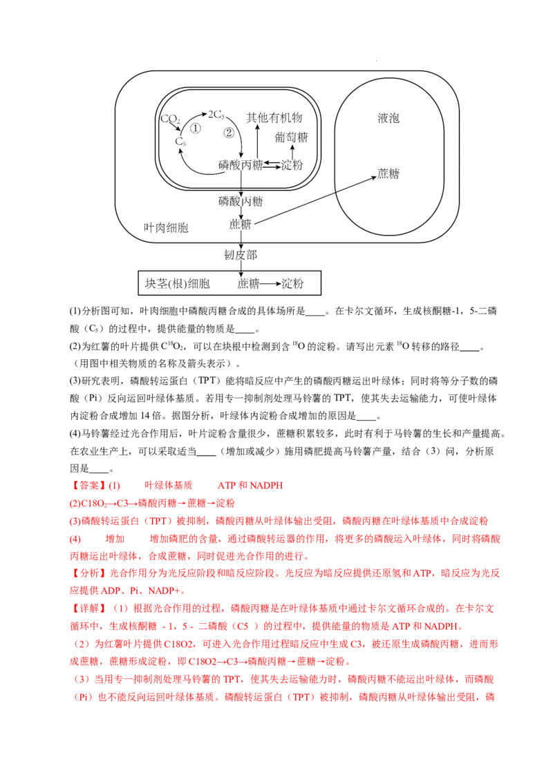 八省2025届高三&ldquo;八省联考&rdquo;考前猜想卷生物（16+5）全解全析_2024-2025高三（6-6月题库）_2025年01月试卷_01012025届高三&ldquo;八省联考&rdquo;考前猜想卷