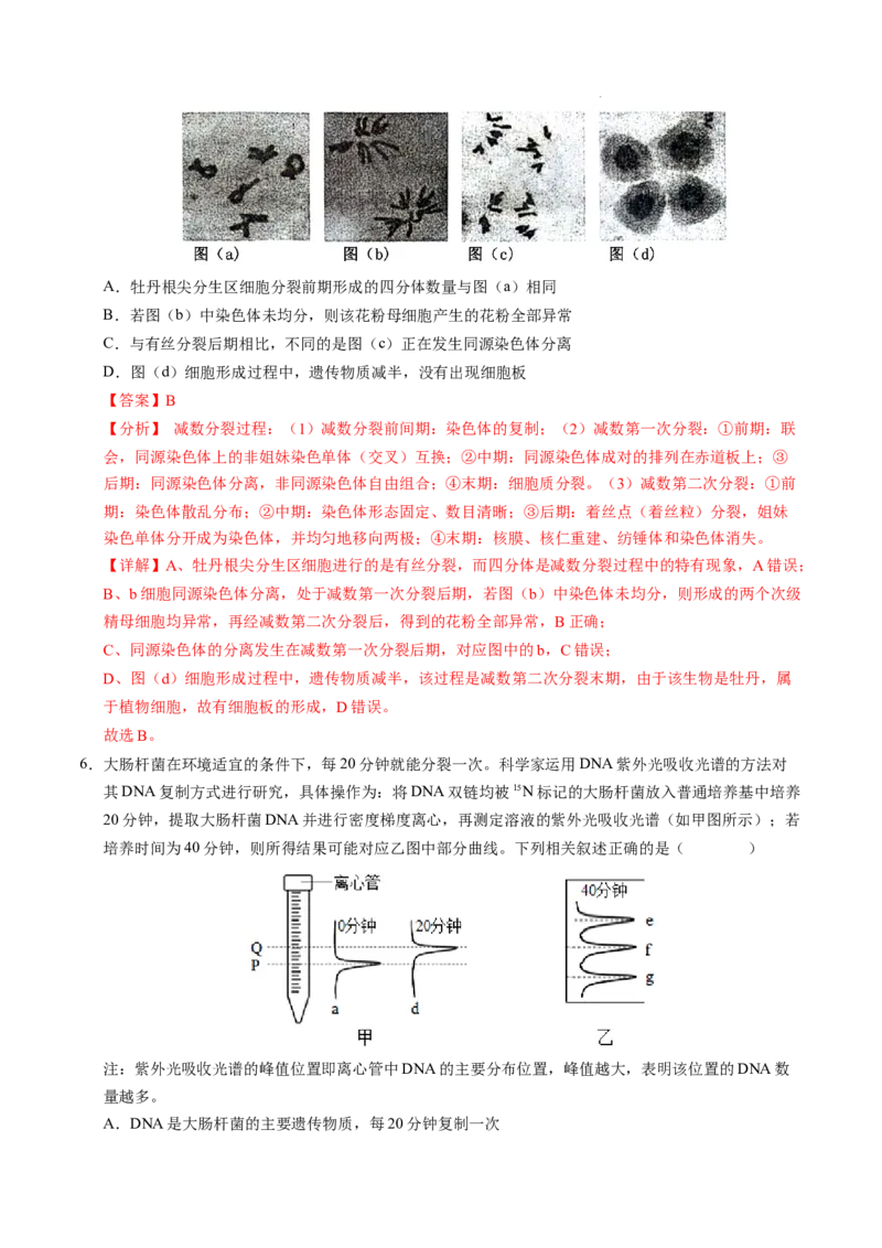 八省2025届高三&ldquo;八省联考&rdquo;考前猜想卷生物（16+5）全解全析_2024-2025高三（6-6月题库）_2025年01月试卷_01012025届高三&ldquo;八省联考&rdquo;考前猜想卷
