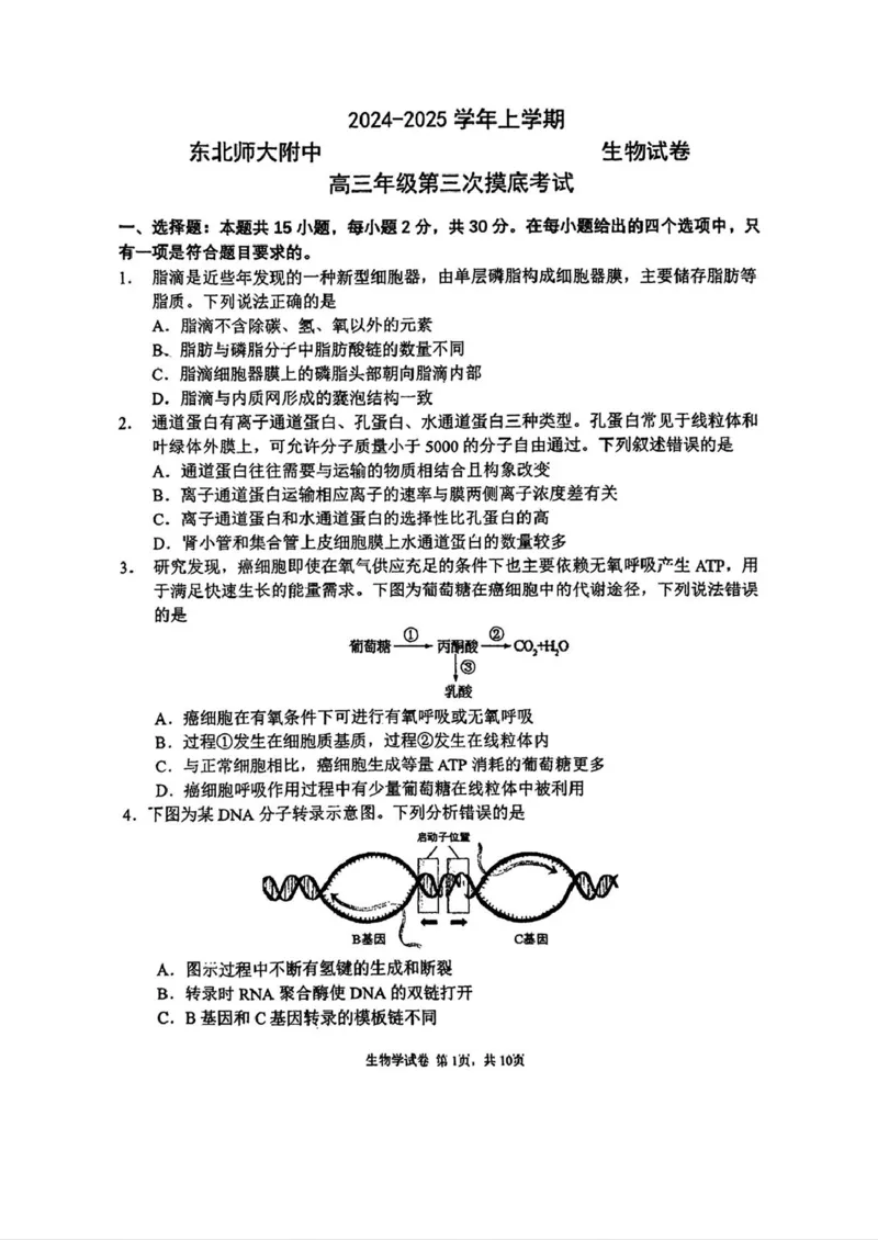 吉林省长春市东北师范大学附属中学2024-2025学年高三上学期第三次摸底考试生物试卷_2024-2025高三（6-6月题库）_2024年12月试卷