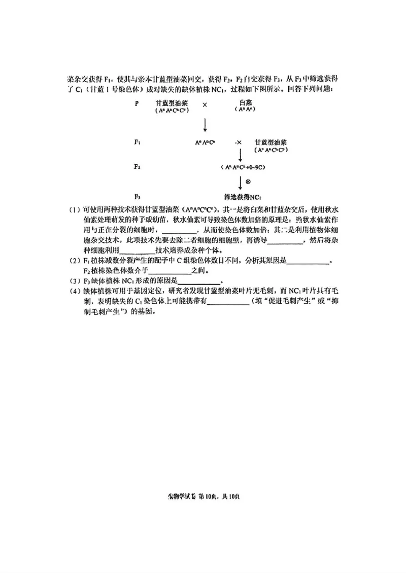 吉林省长春市东北师范大学附属中学2024-2025学年高三上学期第三次摸底考试生物试卷_2024-2025高三（6-6月题库）_2024年12月试卷