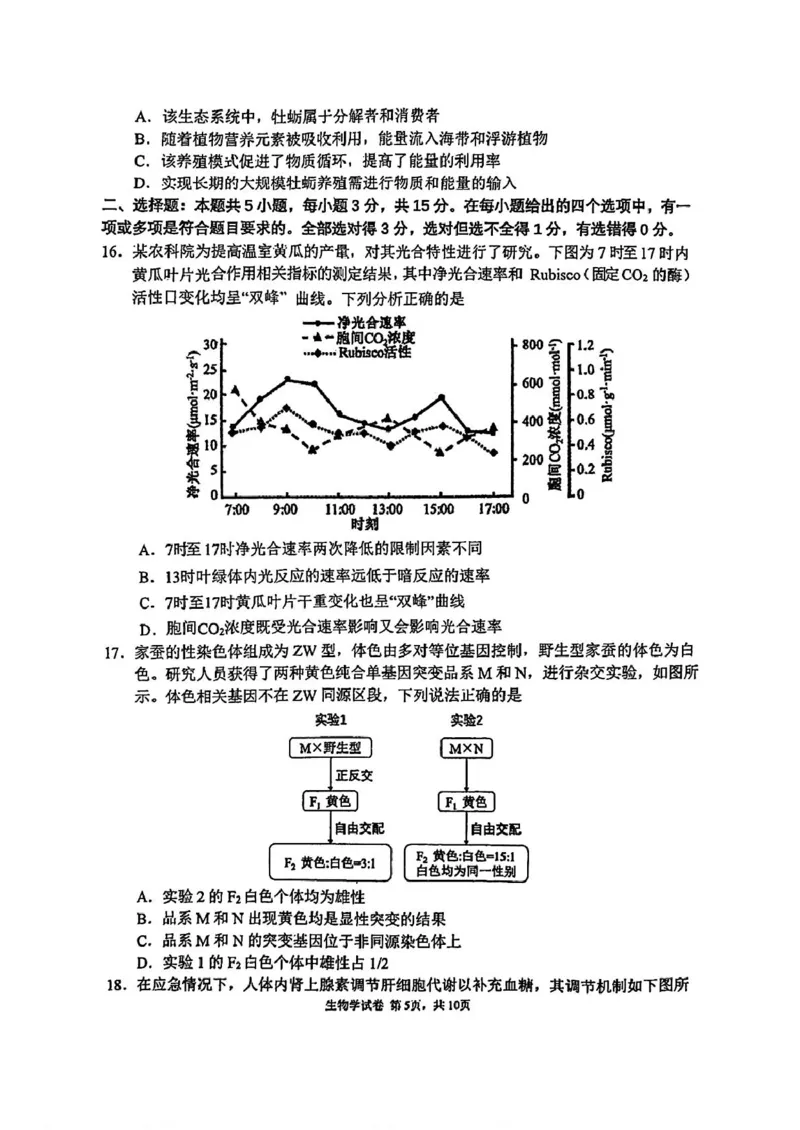 吉林省长春市东北师范大学附属中学2024-2025学年高三上学期第三次摸底考试生物试卷_2024-2025高三（6-6月题库）_2024年12月试卷