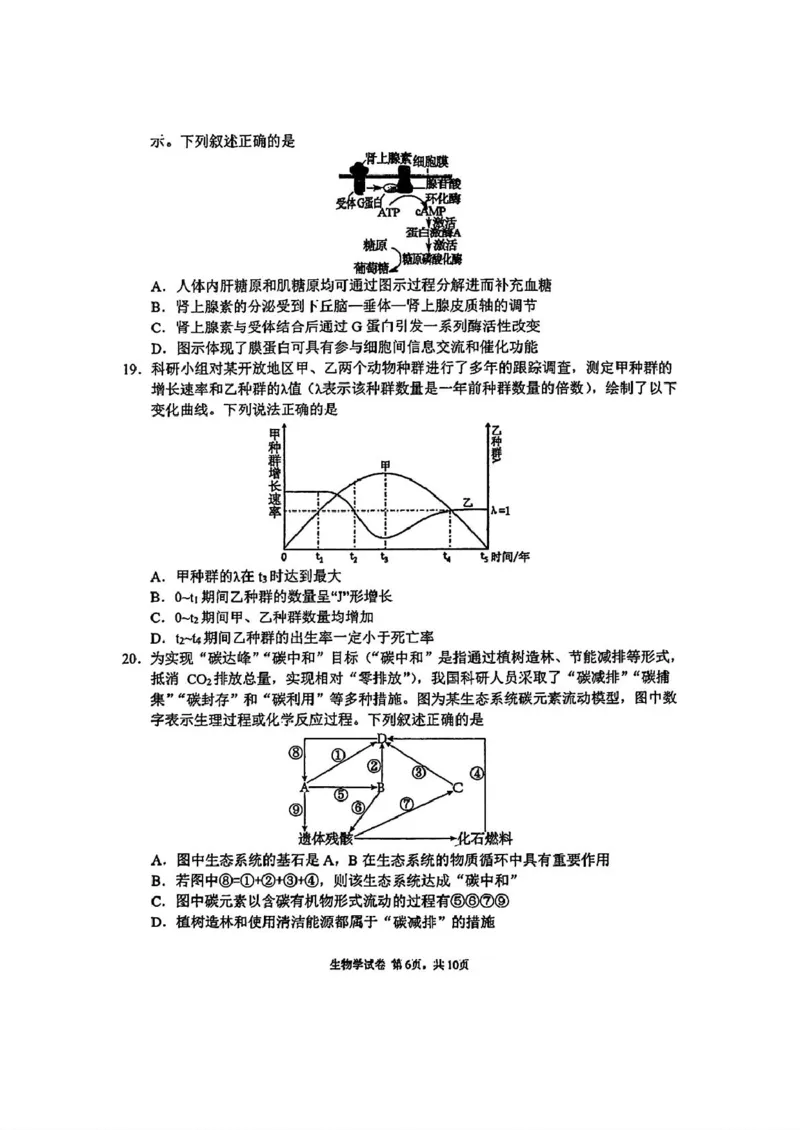 吉林省长春市东北师范大学附属中学2024-2025学年高三上学期第三次摸底考试生物试卷_2024-2025高三（6-6月题库）_2024年12月试卷