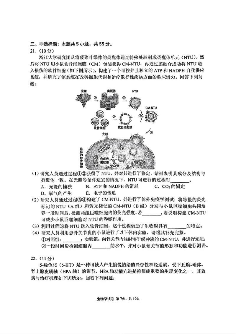 吉林省长春市东北师范大学附属中学2024-2025学年高三上学期第三次摸底考试生物试卷_2024-2025高三（6-6月题库）_2024年12月试卷