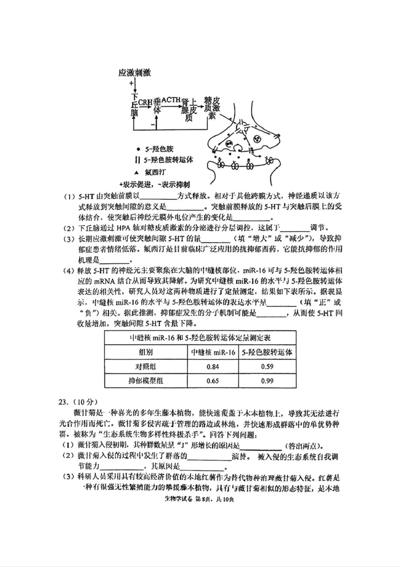 吉林省长春市东北师范大学附属中学2024-2025学年高三上学期第三次摸底考试生物试卷_2024-2025高三（6-6月题库）_2024年12月试卷