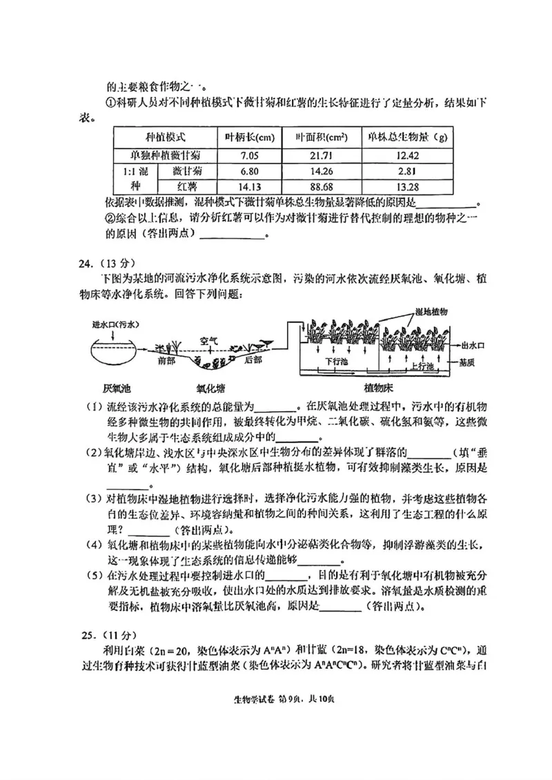 吉林省长春市东北师范大学附属中学2024-2025学年高三上学期第三次摸底考试生物试卷_2024-2025高三（6-6月题库）_2024年12月试卷