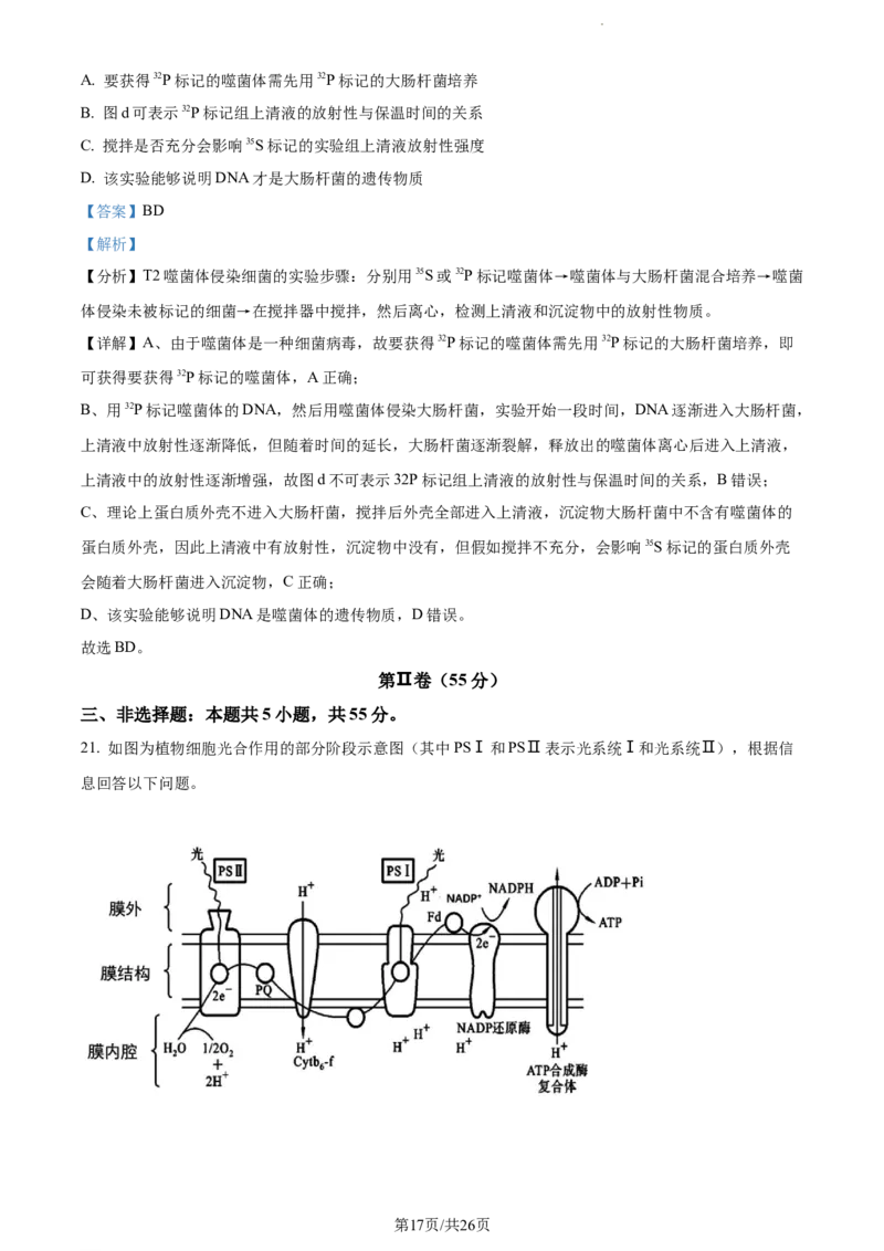 精品解析：辽宁省大连市金州高级中学2023-2024学年高三上学期期中生物试题（解析版）(1)_2023年11月_0211月合集_2024届辽宁省大连市金州高级中学高三上学期期中考试