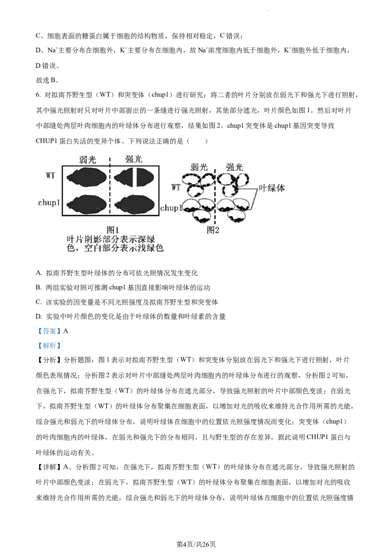 精品解析：辽宁省大连市金州高级中学2023-2024学年高三上学期期中生物试题（解析版）(1)_2023年11月_0211月合集_2024届辽宁省大连市金州高级中学高三上学期期中考试