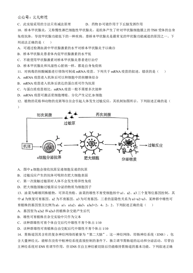 广东省湛江市2024-2025学年高二上学期11月期中考试生物（含解析）_2024-2025高二（7-7月题库）_2024年12月试卷_1209广东省湛江市2024-2025学年高二上学期11月期中考试