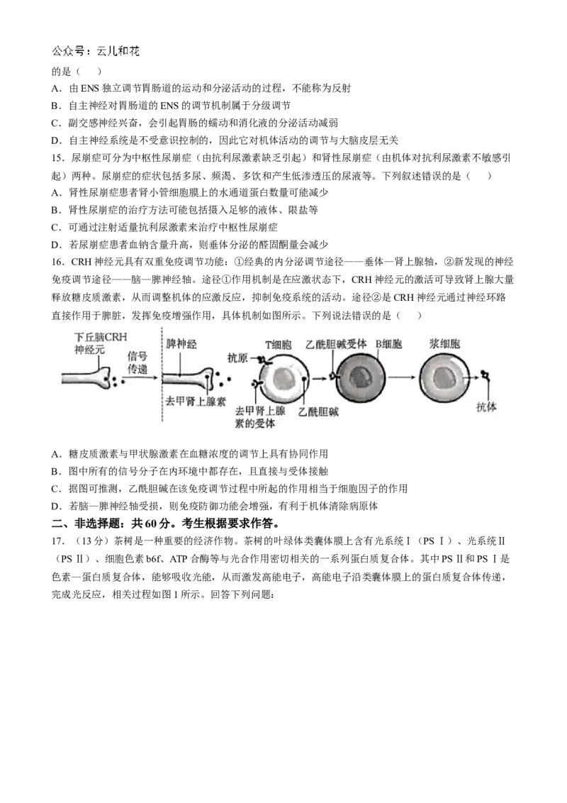 广东省湛江市2024-2025学年高二上学期11月期中考试生物（含解析）_2024-2025高二（7-7月题库）_2024年12月试卷_1209广东省湛江市2024-2025学年高二上学期11月期中考试