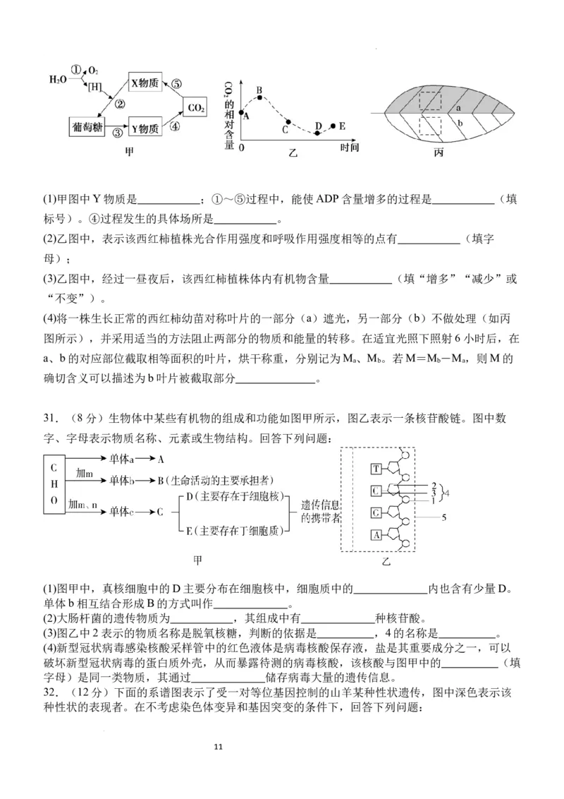 四川省宜宾市第四中学校2024届高三上学期一诊模拟考试理科综合(1)_2023年11月_0211月合集_2024届四川省宜宾市第四中学校高三上学期一诊模拟考试