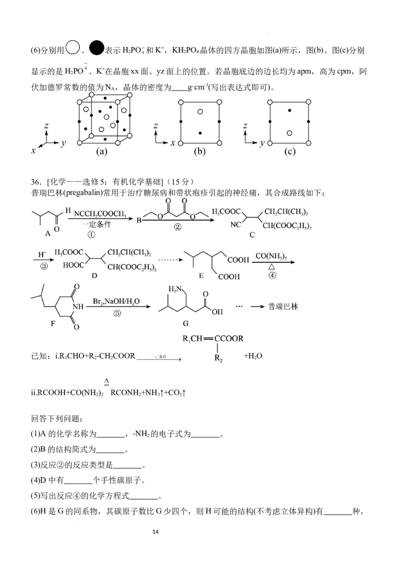 四川省宜宾市第四中学校2024届高三上学期一诊模拟考试理科综合(1)_2023年11月_0211月合集_2024届四川省宜宾市第四中学校高三上学期一诊模拟考试