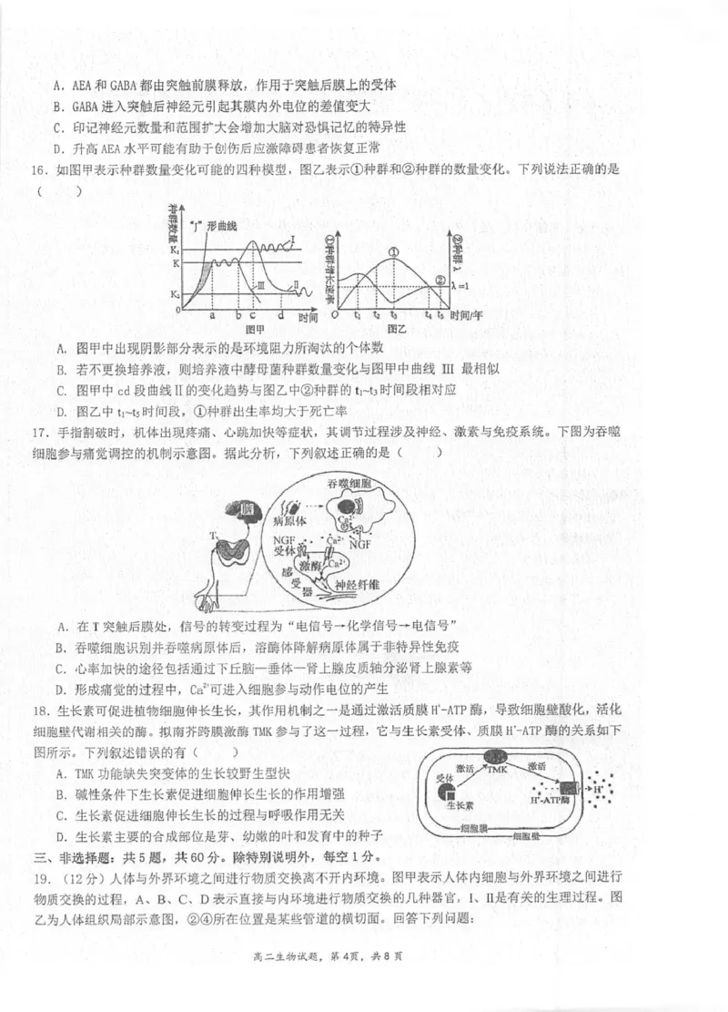 江苏省泰州中学2025-2026学年高二上学期11月期中考试生物PDF版含答案_251214江苏省泰州中学2025-2026学年高二上学期11月期中考试（全）