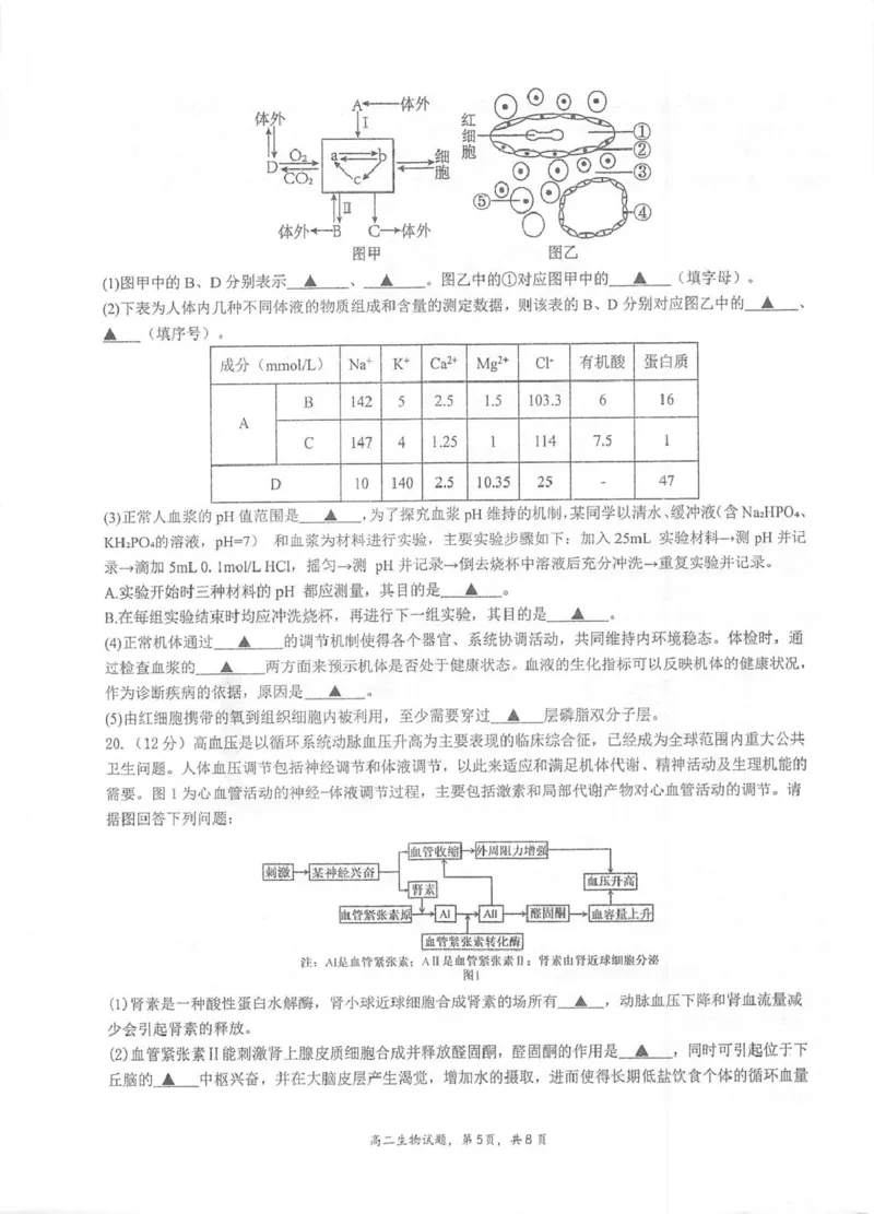 江苏省泰州中学2025-2026学年高二上学期11月期中考试生物PDF版含答案_251214江苏省泰州中学2025-2026学年高二上学期11月期中考试（全）