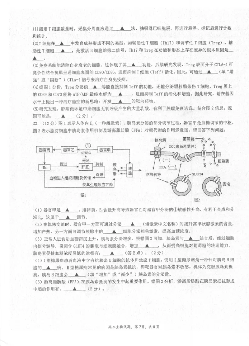 江苏省泰州中学2025-2026学年高二上学期11月期中考试生物PDF版含答案_251214江苏省泰州中学2025-2026学年高二上学期11月期中考试（全）