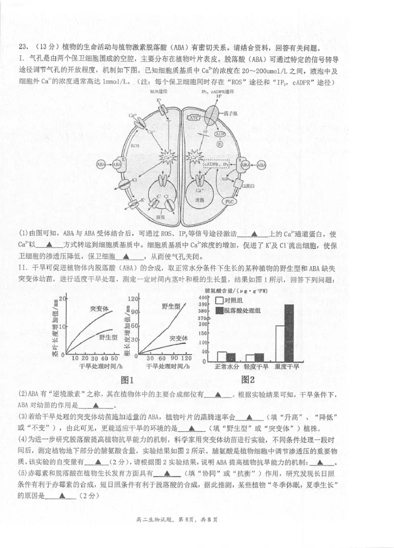 江苏省泰州中学2025-2026学年高二上学期11月期中考试生物PDF版含答案_251214江苏省泰州中学2025-2026学年高二上学期11月期中考试（全）