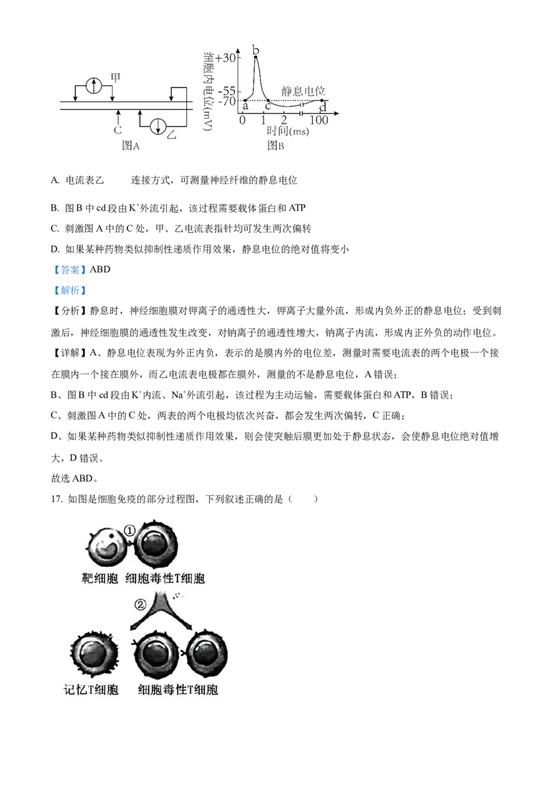 江苏省连云港市灌南县2024-2025学年高二上学期11月期中生物试题Word版含解析_2024-2025高二（7-7月题库）_2024年12月试卷_1213江苏省连云港市灌南县2024-2025学年高二上学期11月期中考试