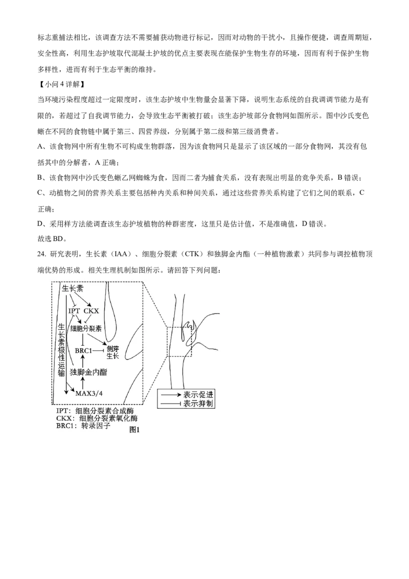 江苏省连云港市灌南县2024-2025学年高二上学期11月期中生物试题Word版含解析_2024-2025高二（7-7月题库）_2024年12月试卷_1213江苏省连云港市灌南县2024-2025学年高二上学期11月期中考试