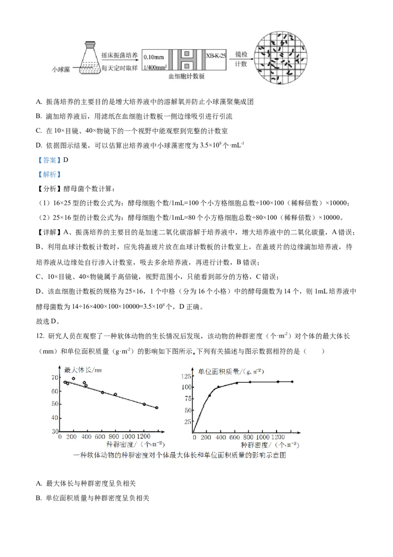 江苏省连云港市灌南县2024-2025学年高二上学期11月期中生物试题Word版含解析_2024-2025高二（7-7月题库）_2024年12月试卷_1213江苏省连云港市灌南县2024-2025学年高二上学期11月期中考试