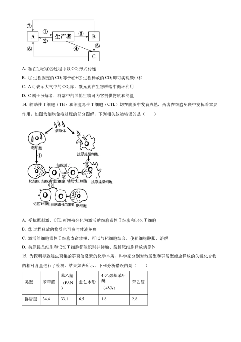 江苏省连云港市2024-2025学年高二上学期期末调研考试生物试题Word版无答案_2024-2025高二（7-7月题库）_2025年03月试卷_0311江苏省连云港市2024-2025学年高二上学期期末考试