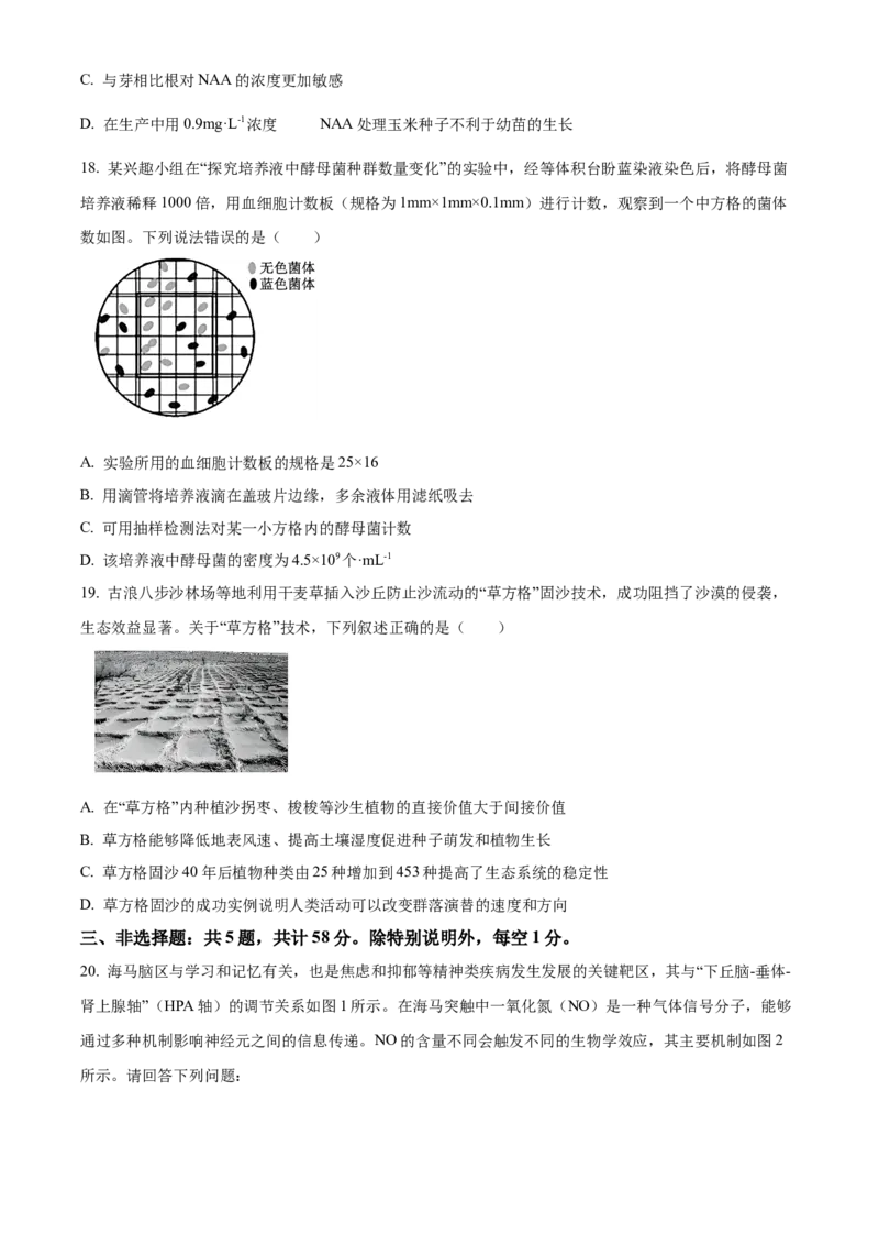 江苏省连云港市2024-2025学年高二上学期期末调研考试生物试题Word版无答案_2024-2025高二（7-7月题库）_2025年03月试卷_0311江苏省连云港市2024-2025学年高二上学期期末考试