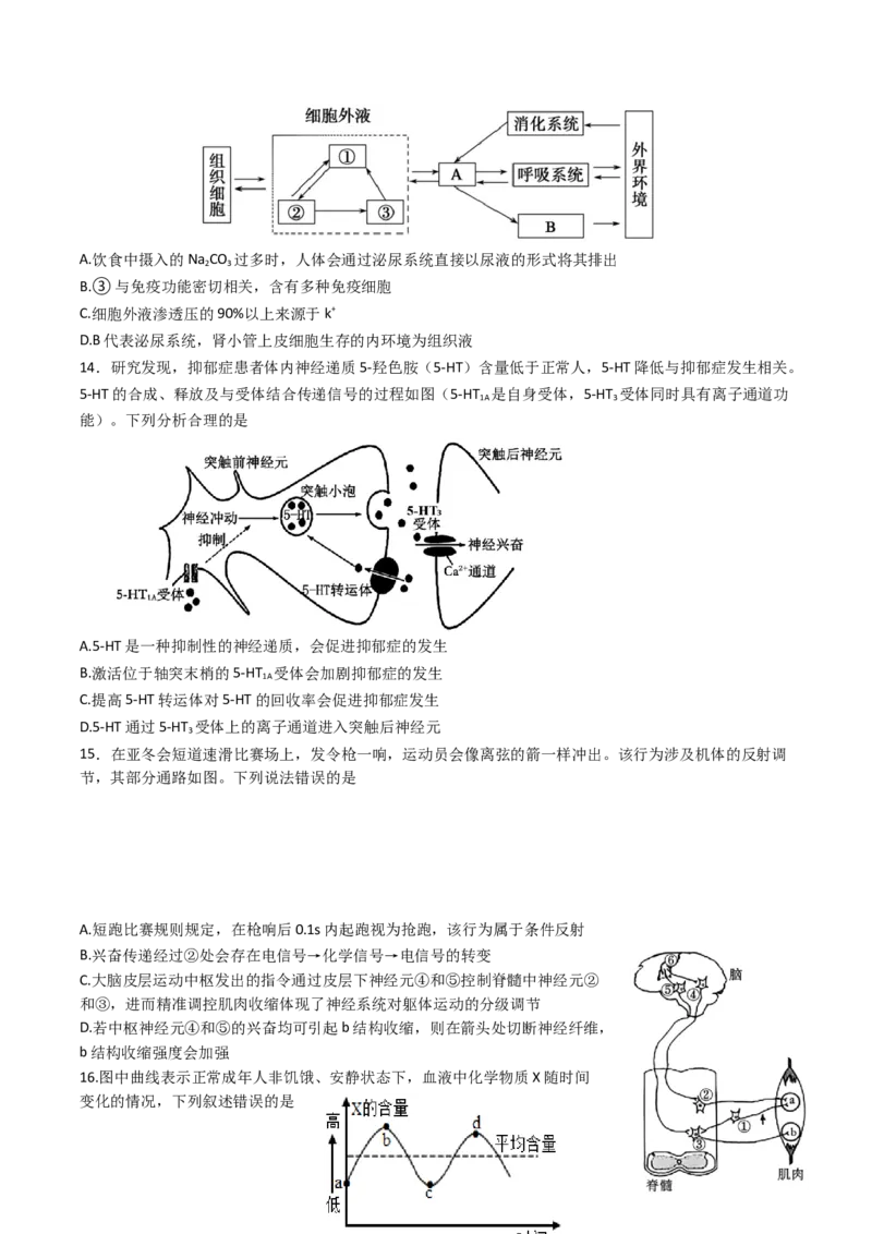 江西省赣州市十三校2025-2026学年高二上学期期中联考试题生物Word版无答案_2024-2025高二（7-7月题库）_2026年1月高二_260105江西省赣州市十三校2025-2026学年高二上学期期中联考试题