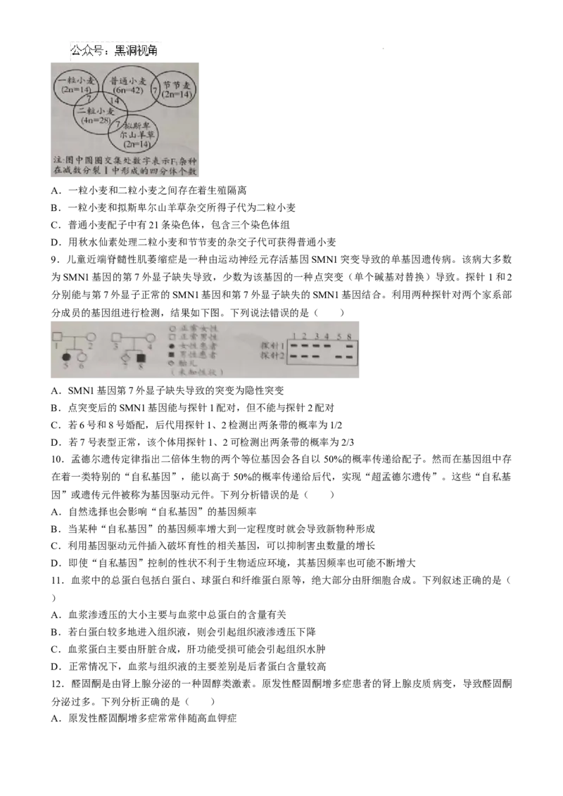 山东省日照市2025届高三上学期11月期中校际联合考试生物_2024-2025高三（6-6月题库）_2024年11月试卷_1126山东省日照市2025届高三上学期11月期中校际联合考试