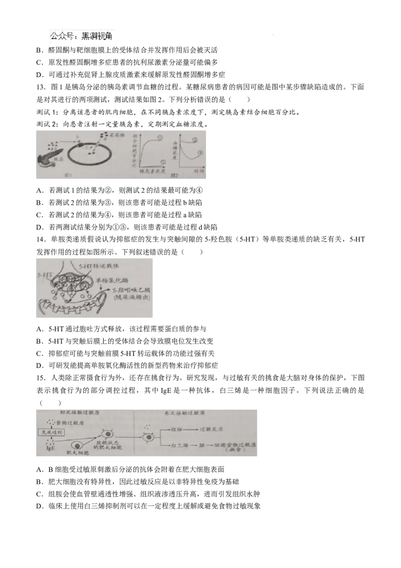 山东省日照市2025届高三上学期11月期中校际联合考试生物_2024-2025高三（6-6月题库）_2024年11月试卷_1126山东省日照市2025届高三上学期11月期中校际联合考试